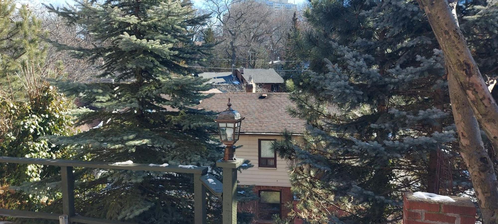 High Park Single Room With Personal Washroom And Kitchen Toronto Buitenkant foto